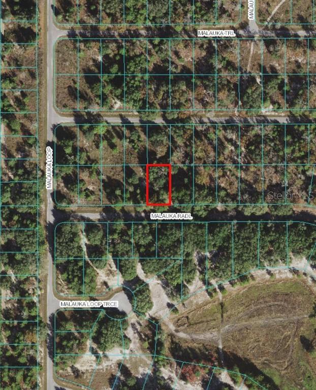 Malauka Radl, Ocklawaha, FL 32179