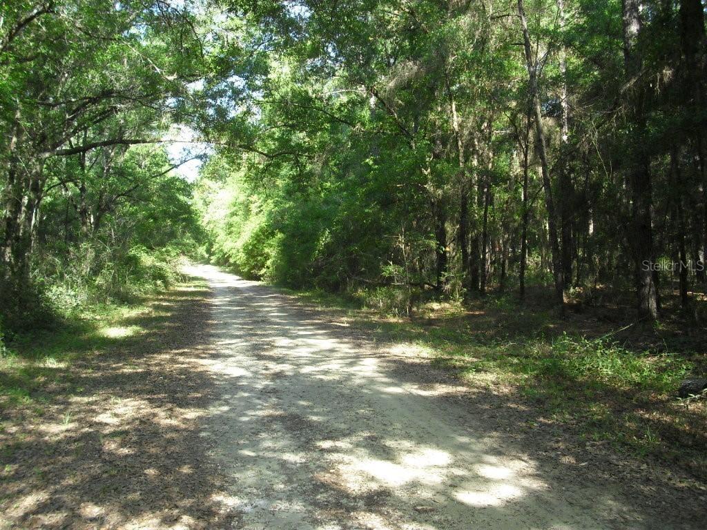 Lots 24-25 SW 21 Pl., Ocala, FL 34481