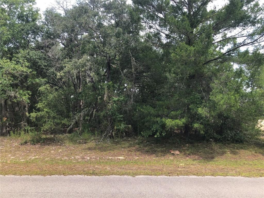 SW 147th St Rd., Ocala, FL 34473