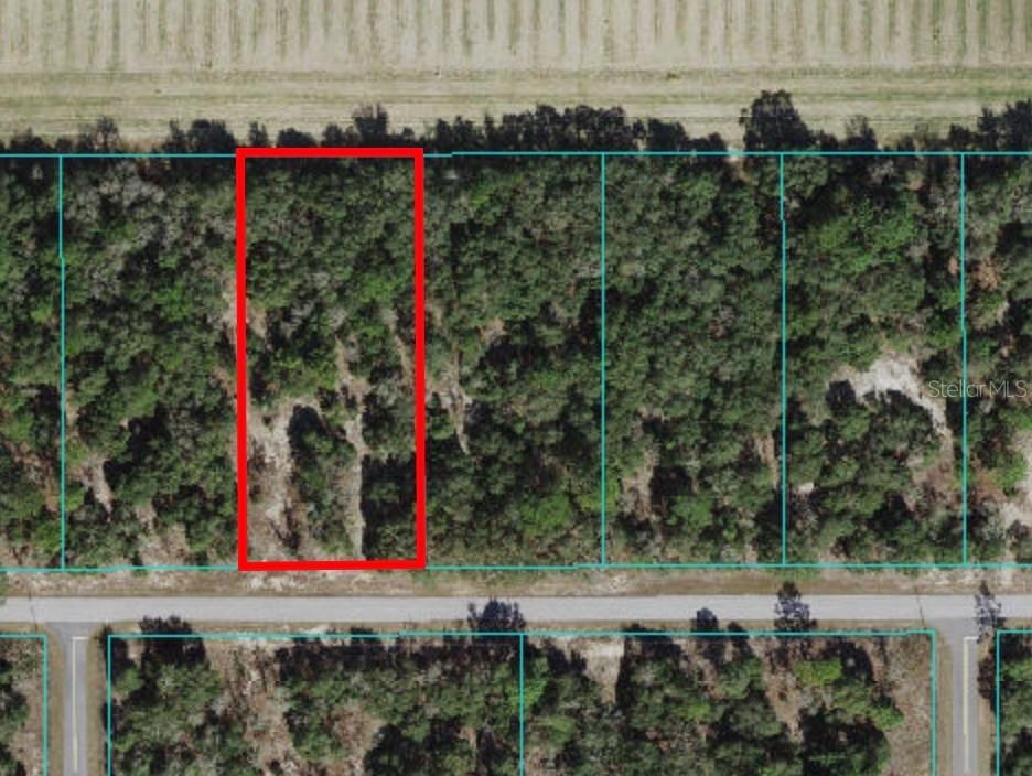 00 SW Pine Bluffs Rd. #LOT 23, Dunnellon, FL 34431