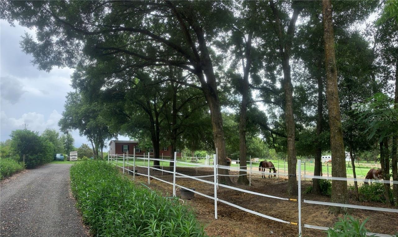 2255 SE 105 St., Ocala, FL 34481