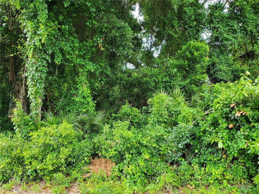 00 Juniper Pass Radial, Ocala, FL 34472