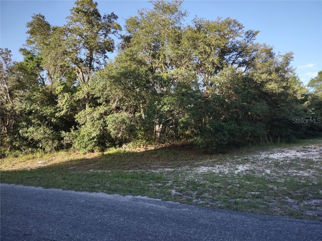 TBA SW 29 Court Rd., Ocala, FL 34473
