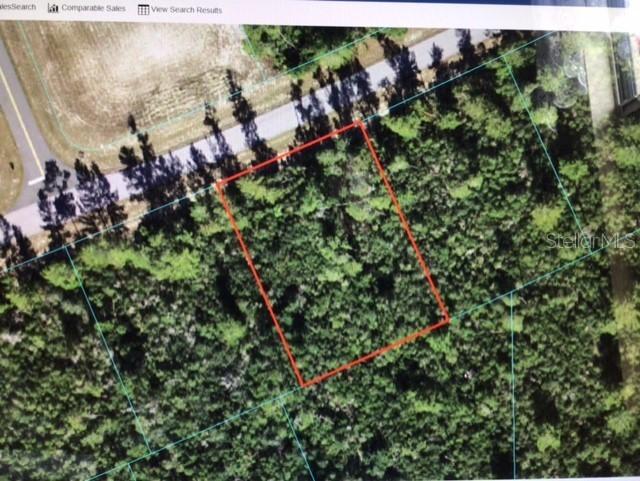 SW 177 Place Road, Ocala, FL 34473