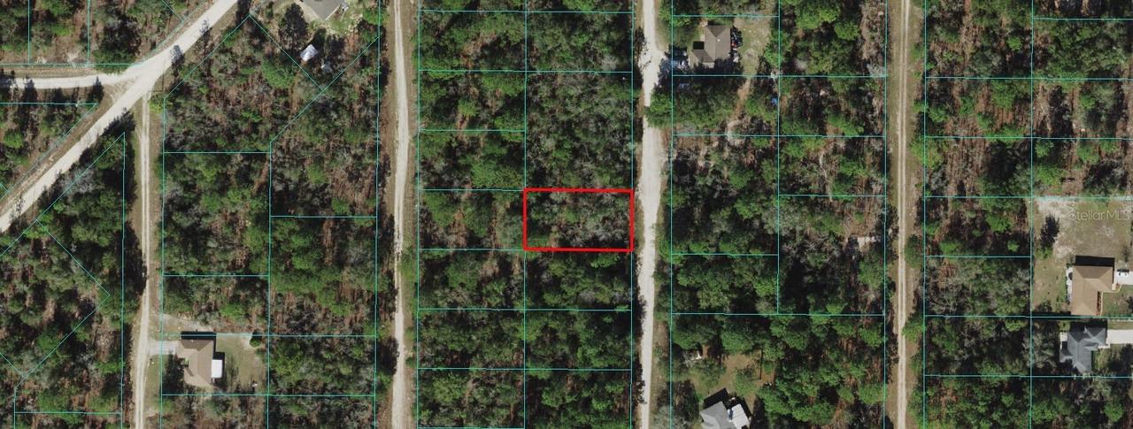 TBD SW 142nd Ct., Ocala, FL 34481