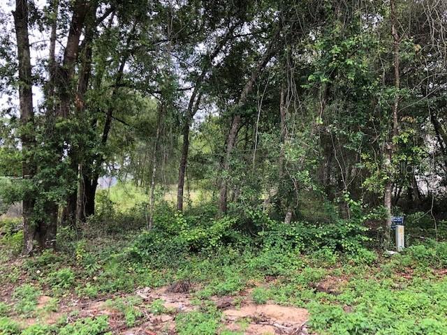 NE 40 Pl., Ocala, FL 34470