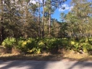 Lot 10 Locust  Radl, Ocala, FL 34472