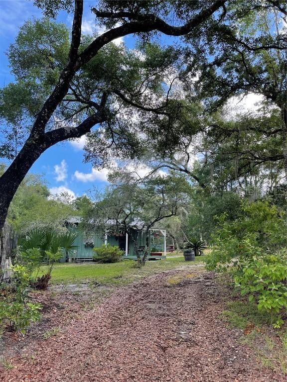 15495 NE 239th Ln., Fort Mc Coy, FL 32134