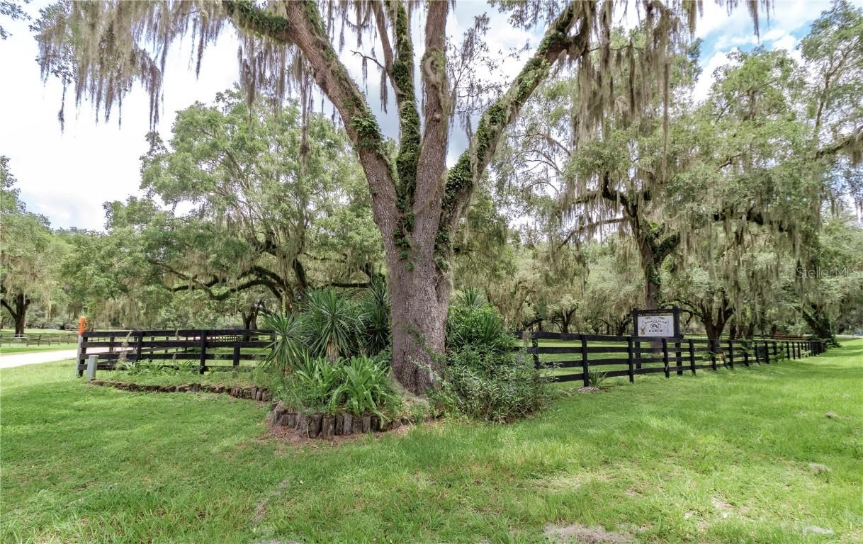 18253 NW 20 Ave., Citra, FL 32113