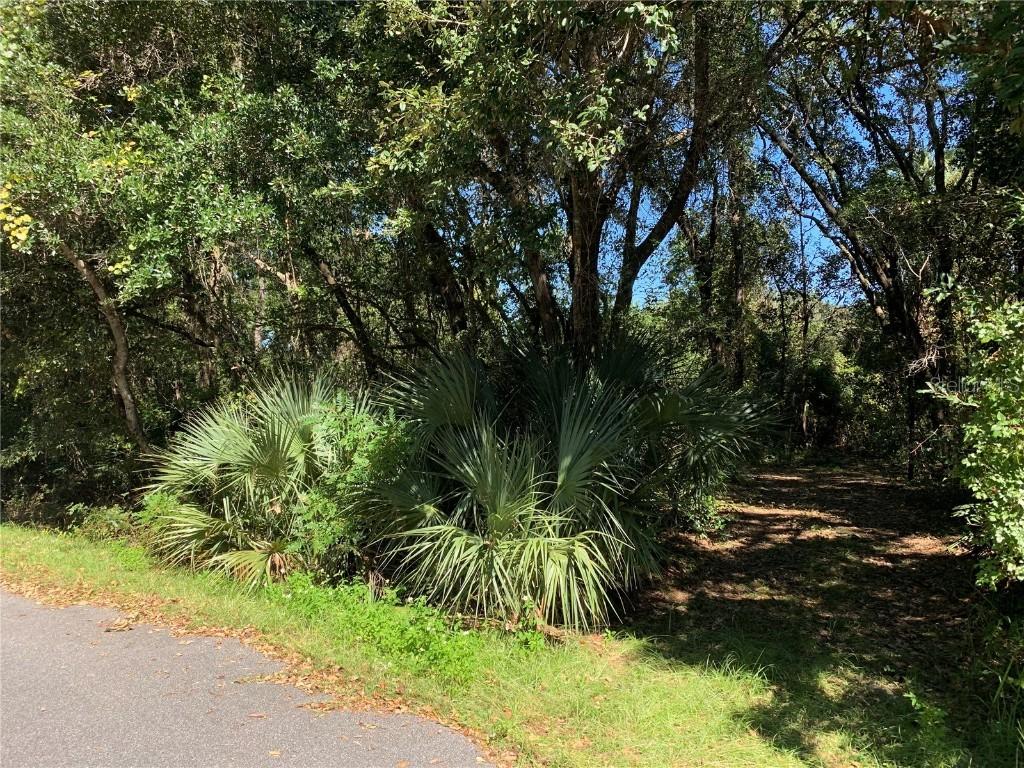 Lot 12 Oak Lane Way, Ocala, FL 34472