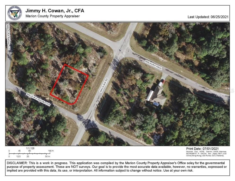 TBD Malauka Radial Ter., Ocklawaha, FL 32179