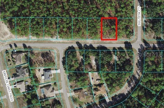 SW 138 St., Ocala, FL 34473