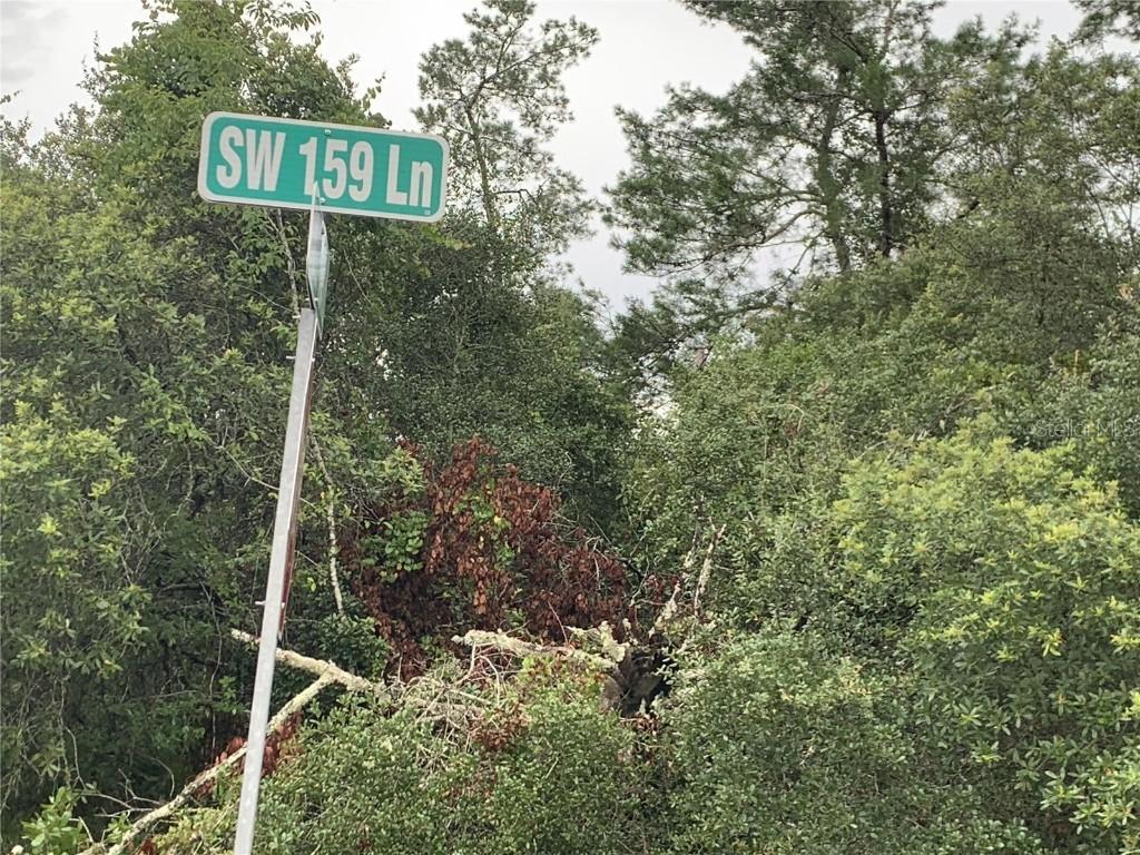 SW 159 Ln., Ocala, FL 34432