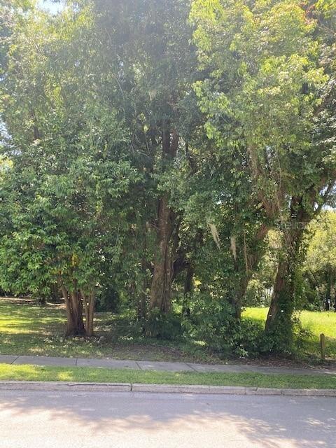 SW 137th Loop, Ocala, FL 34472
