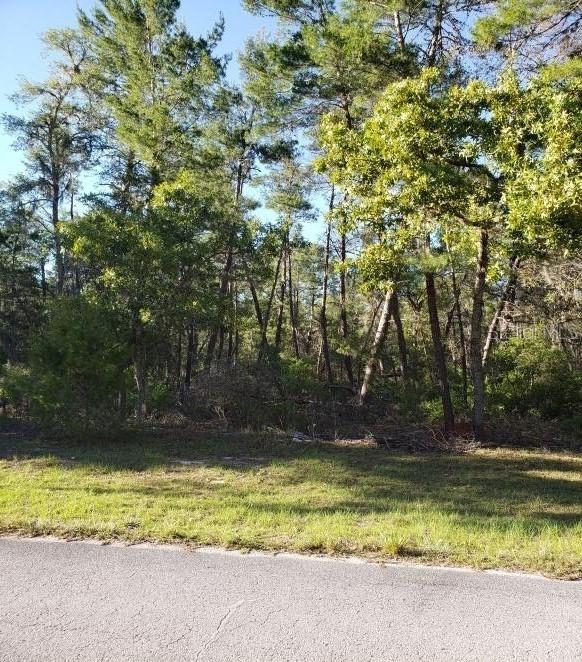 SW 179th Pl., Ocala, FL 34473