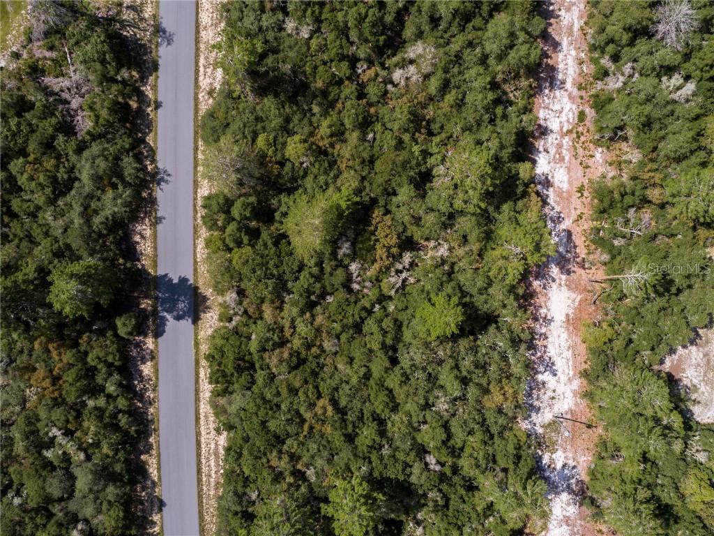 00 SW 176 Loop, Ocala, FL 34473