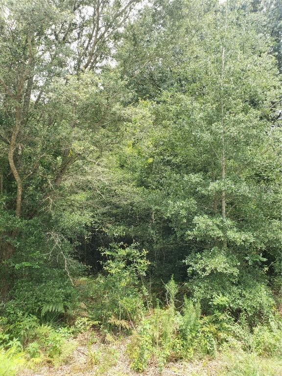 TBD NW 111th Ct., Ocala, FL 34482