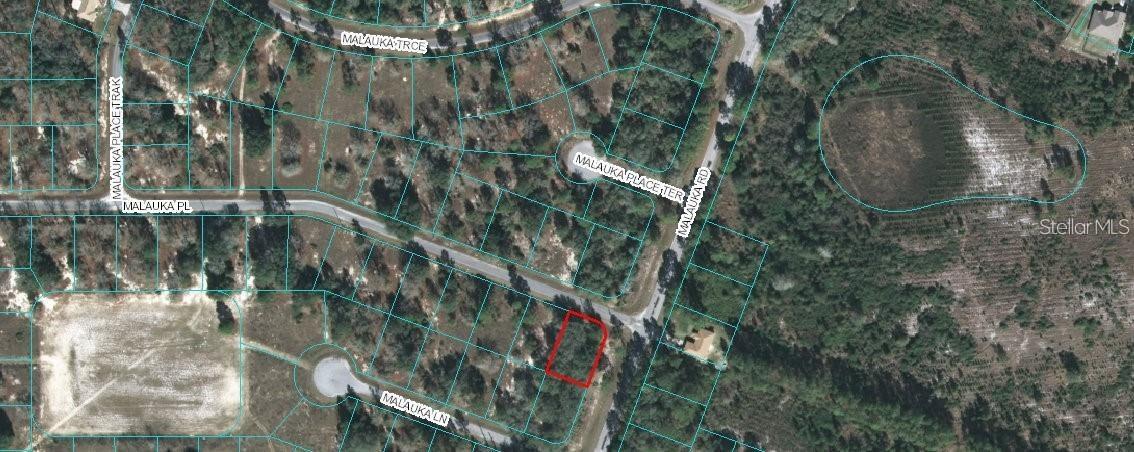 Malauka Place, Ocala, FL 34472