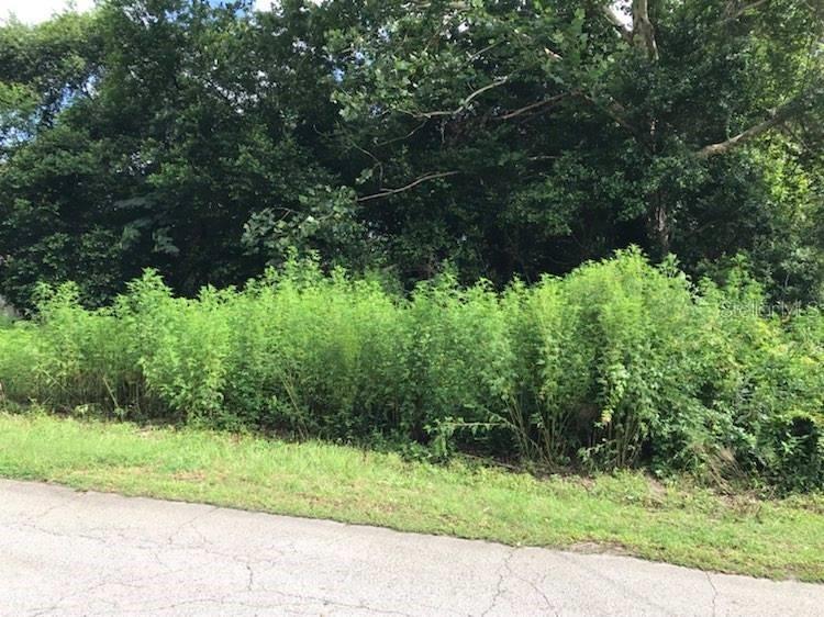 SE 135th Ln., Summerfield, FL 34491