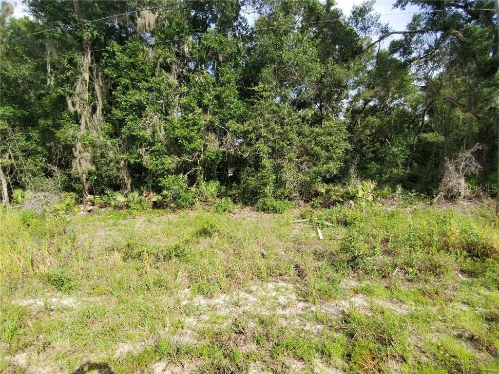 TBD Elm Road, Ocala, FL 34470