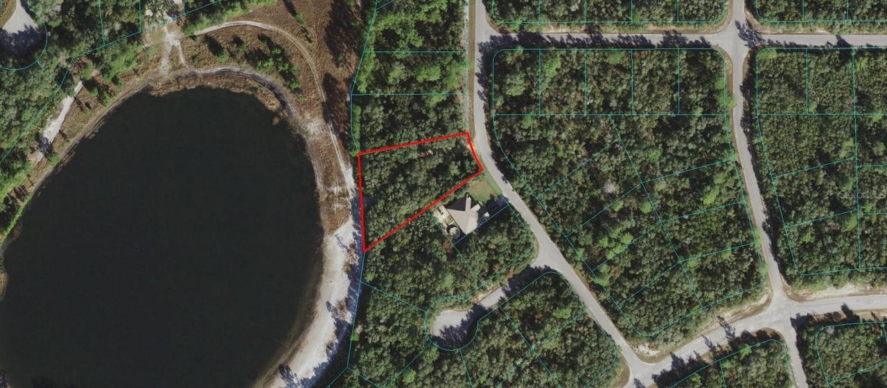 TBD Malauka Ter., Ocklawaha, FL 32179