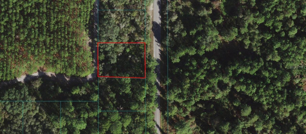 TBD Malauka Pass, Ocklawaha, FL 32179