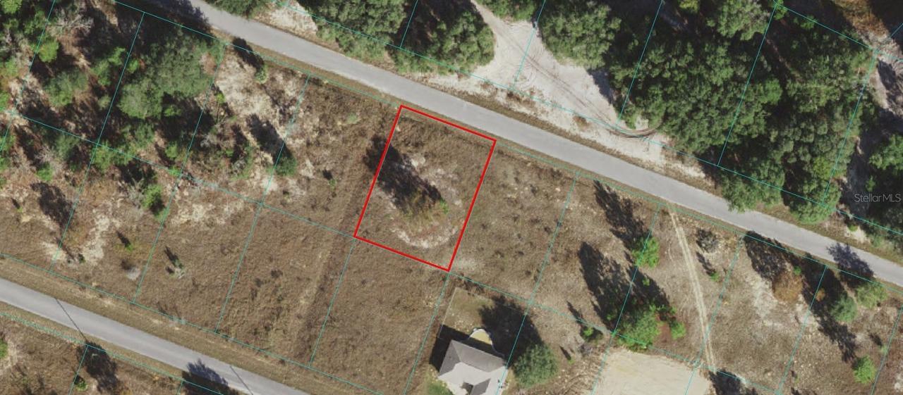 00 Malauka Loop Run, Ocklawaha, FL 32179