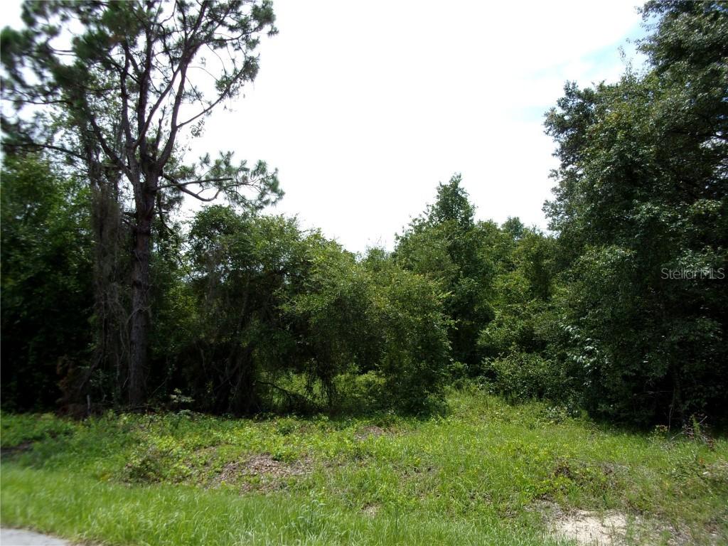 0000 Locust Run Cir., Ocala, FL 34472