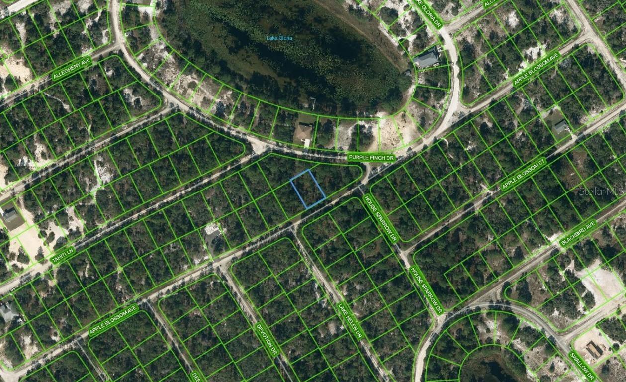 432 Apple Blossom Ct., Lake Placid, FL 33852