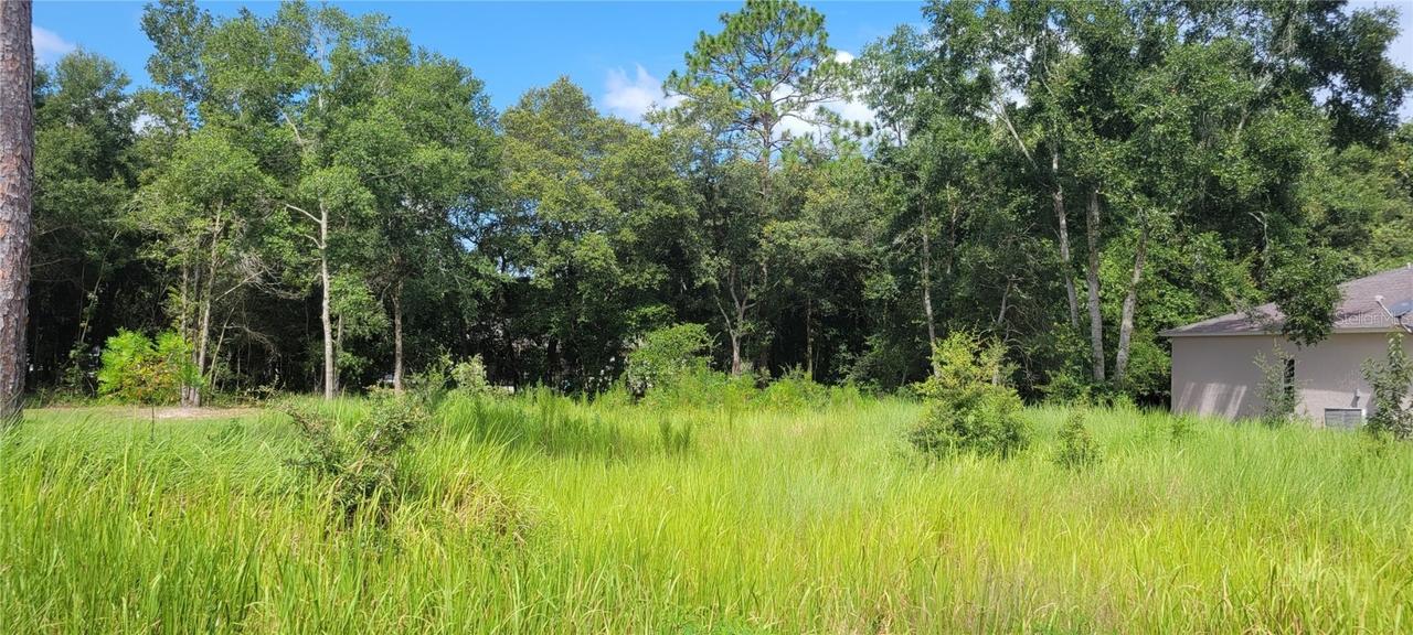 20 Pine Course Trace, Ocala, FL 34472