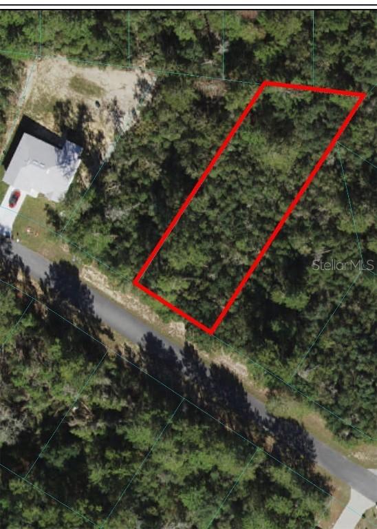 TBD SW 146th Place Rd., Ocala, FL 34473