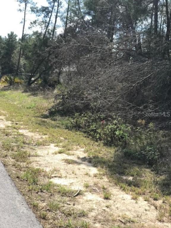 0 Cedar Drive, Ocala, FL 34472