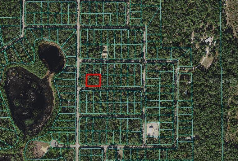 00 NE 237th Ln., Fort Mc Coy, FL 32134