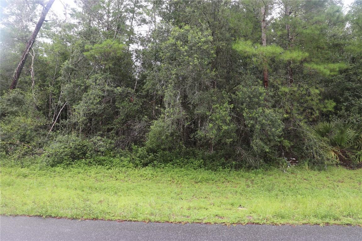 00 SW 29 Terrace Road Ter., Ocala, FL 34473