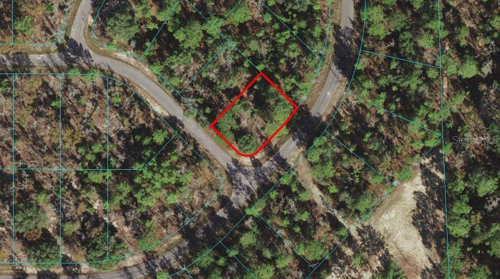 Guava Pass, Ocala, FL 34472