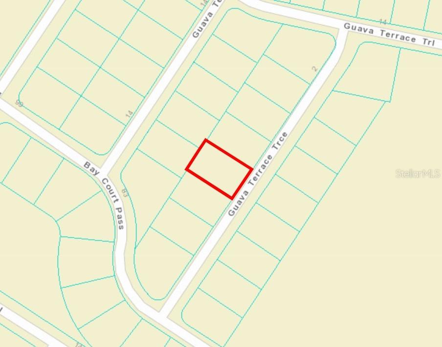 Guava Terrace Trace, Ocklawaha, FL 32179