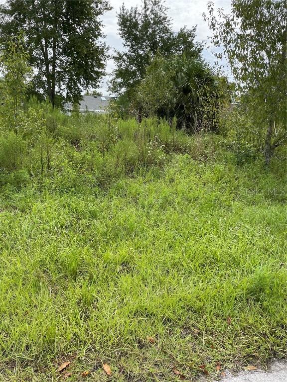 8439 SW 65th Ter., Ocala, FL 34476