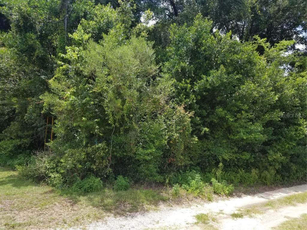 Lot 2 SE 142 St., Summerfield, FL 34491