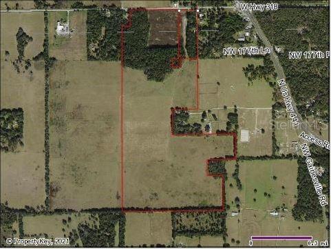 5930 W Highway 318, Reddick, FL 32686