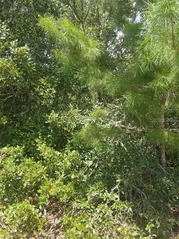 Lot 1 SE 142 St., Summerfield, FL 34491