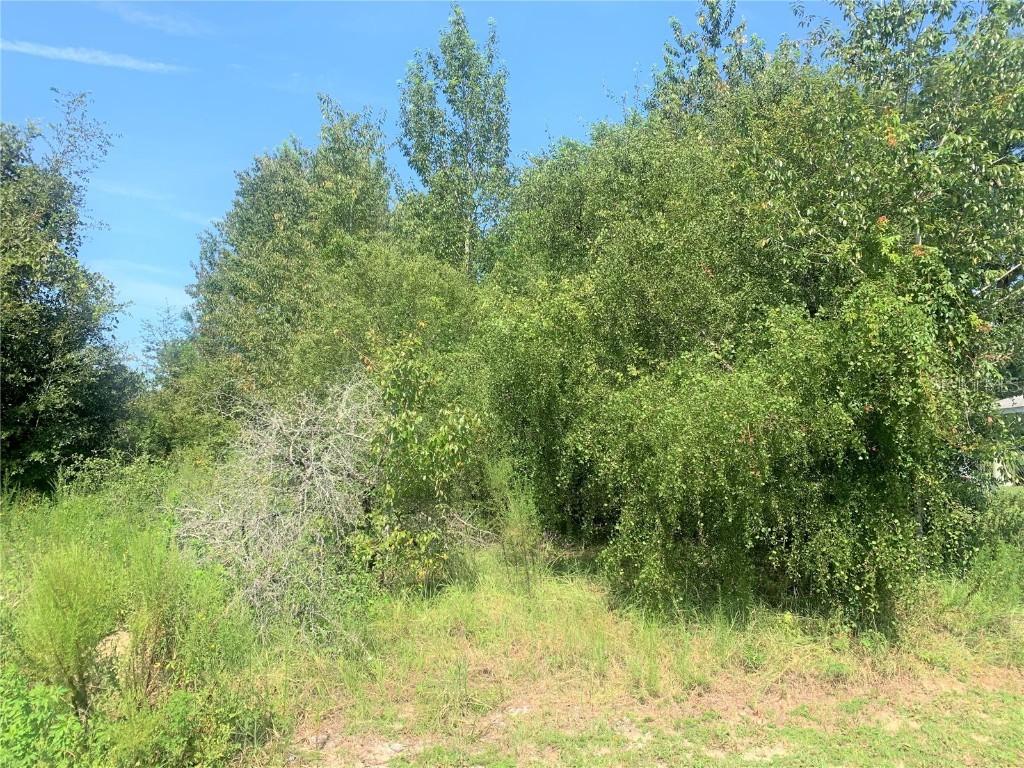 SE Pecan Course Ter, Ocala, FL 34472