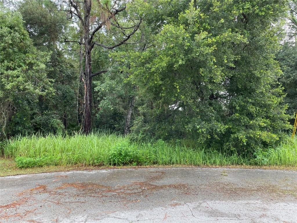 Cedar Trace Way, Ocala, FL 34472