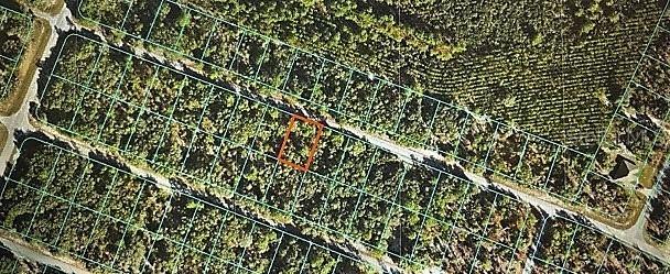 TBD Malauka Ln., Ocklawaha, FL 32179