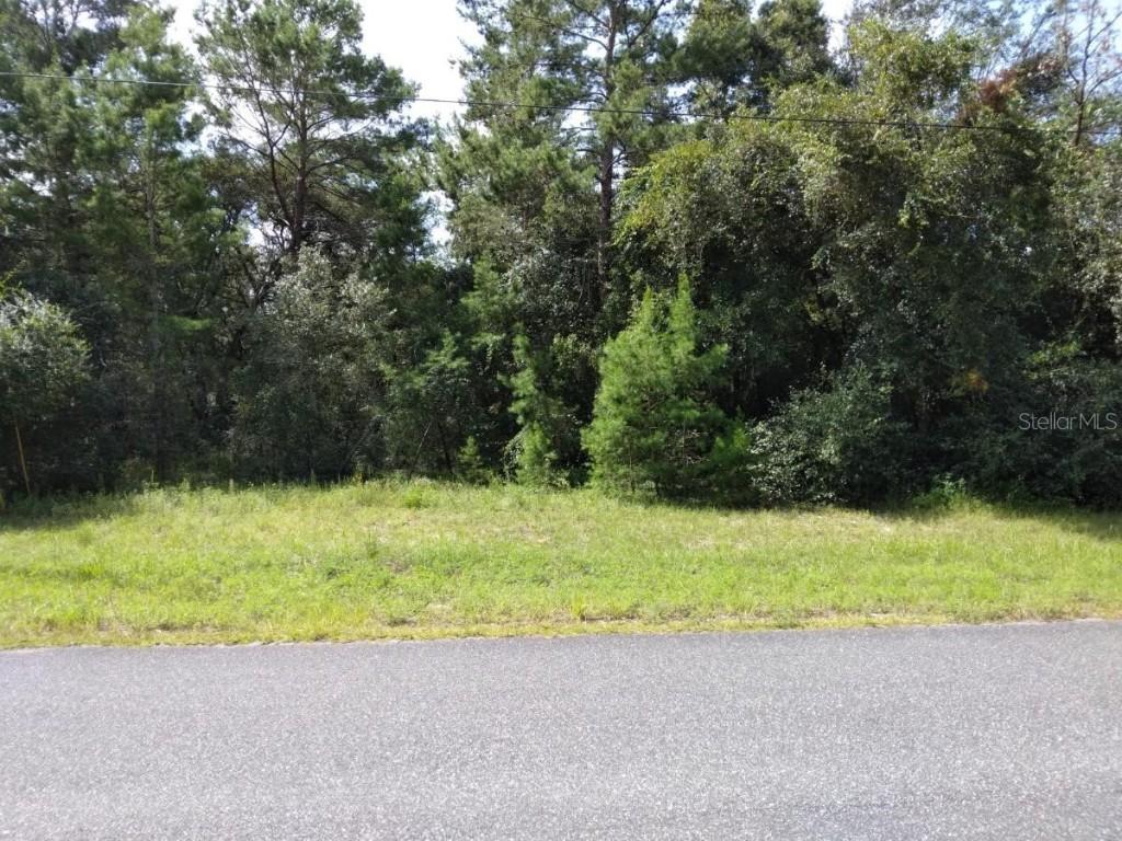 SW 132nd Ln., Ocala, FL 34473