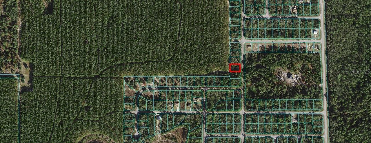TBD Malauka Pass, Ocklawaha, FL 32179
