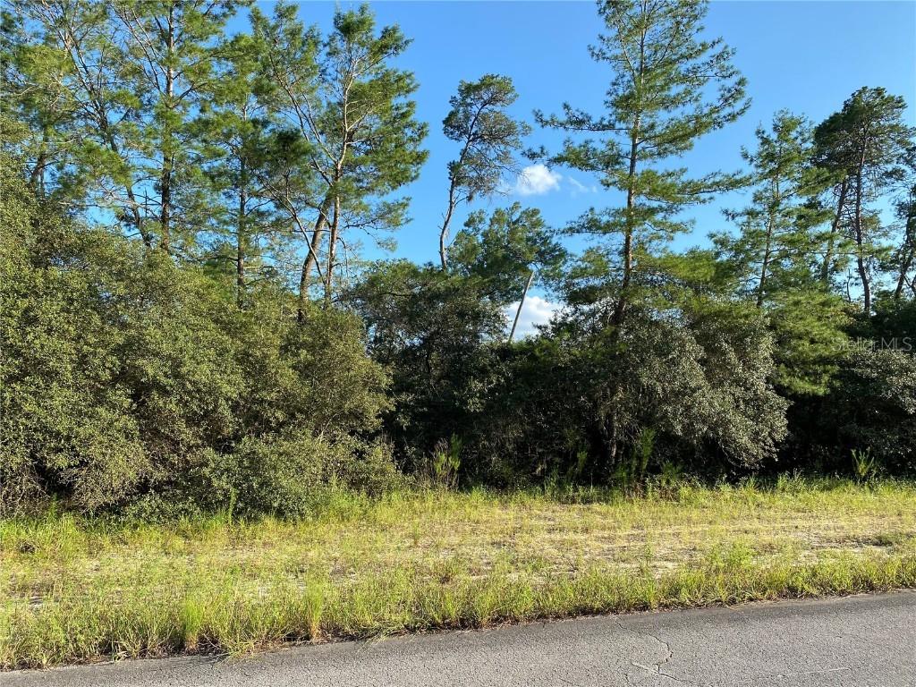 TBD SW 27th Cir., Ocala, FL 34473