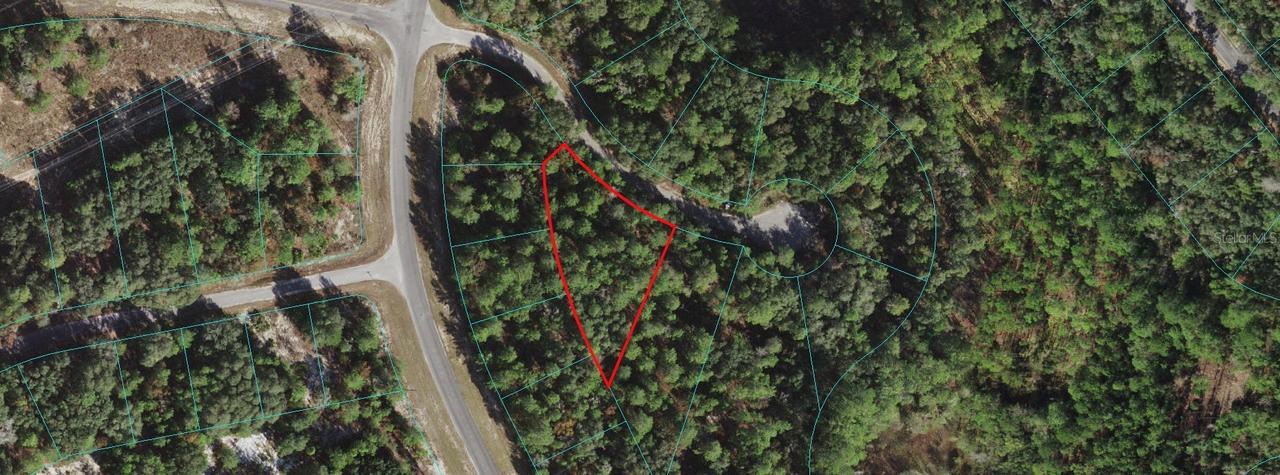 TBD SE 113th St., Ocklawaha, FL 32179