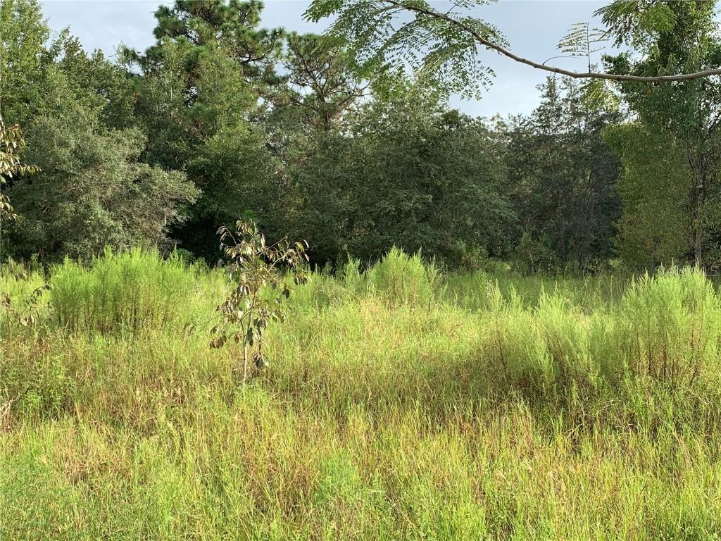 00 SW 100th St., Ocala, FL 34476