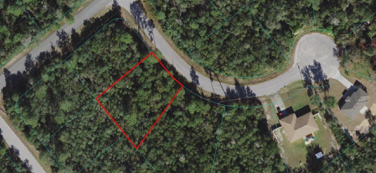 TBD Holly Run, Ocala, FL 34472