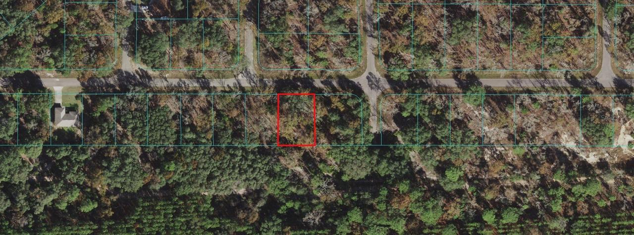 TBD Guava Pass, Ocala, FL 34472